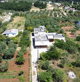 Foto annuncio 5
