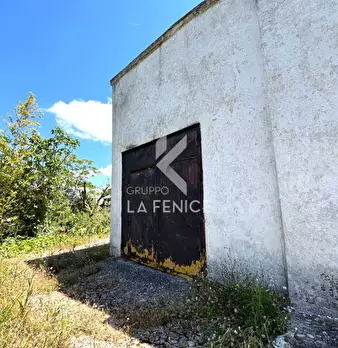 Foto annuncio 61