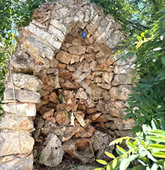 Foto annuncio 62