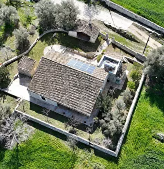 Foto annuncio 9