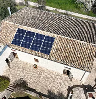 Foto annuncio 49