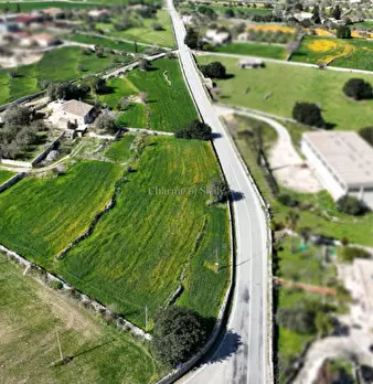 Foto annuncio 51