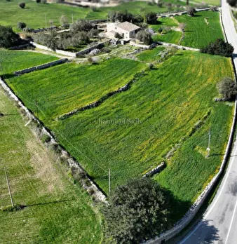 Foto annuncio 53