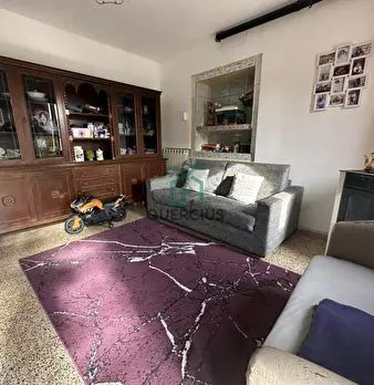 Foto annuncio 24