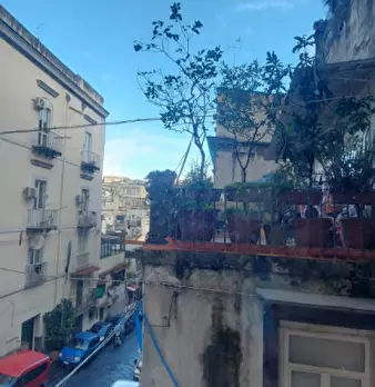 Foto annuncio 53