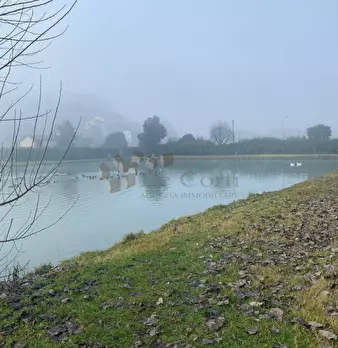 Foto annuncio 10