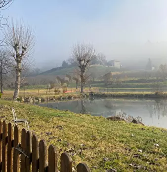 Foto annuncio 11