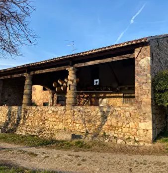 Foto annuncio 8