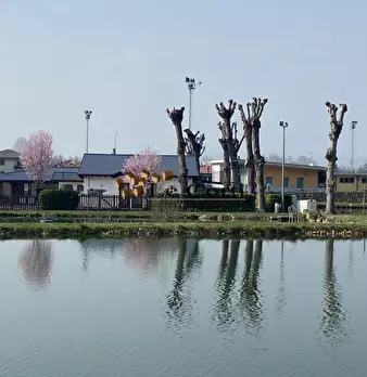 Foto annuncio 10