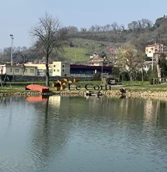 Foto annuncio 14