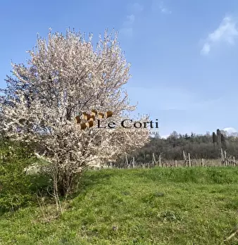Foto annuncio 15