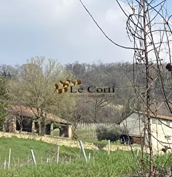 Foto annuncio 16