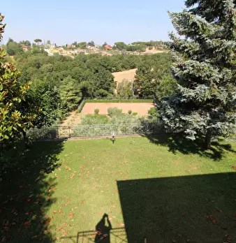 Foto annuncio 20