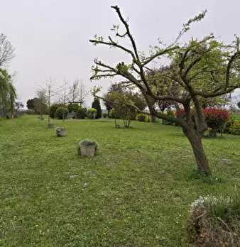 Foto annuncio 72