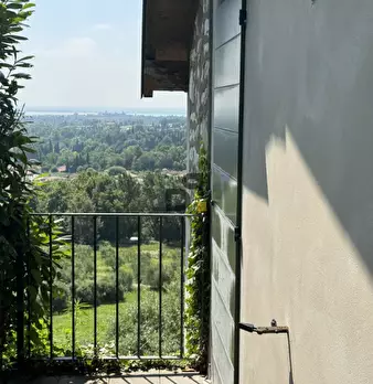 Foto annuncio 43