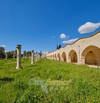 Foto annuncio 16