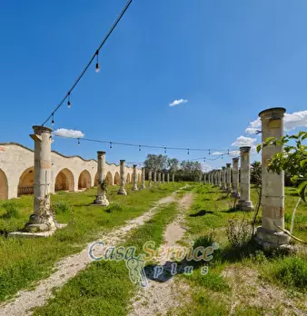 Foto annuncio 19