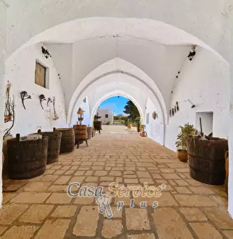 Foto annuncio 26