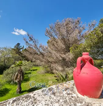 Foto annuncio 30