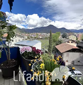 Foto annuncio 3