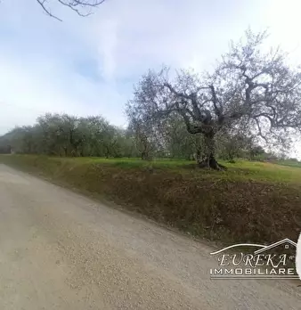 Foto annuncio 10