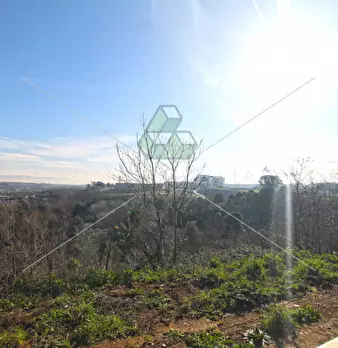Foto annuncio 21