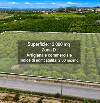 Foto annuncio 2