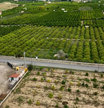 Foto annuncio 18