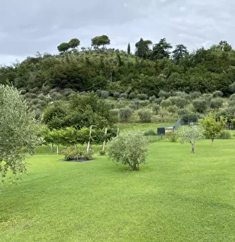 Foto annuncio 17