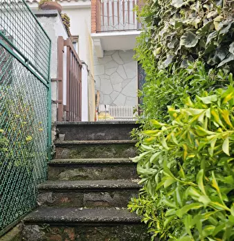 Foto annuncio 5
