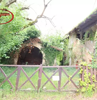 Foto annuncio 5