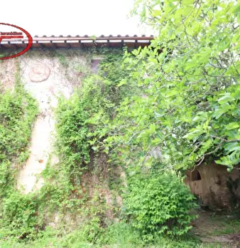Foto annuncio 9