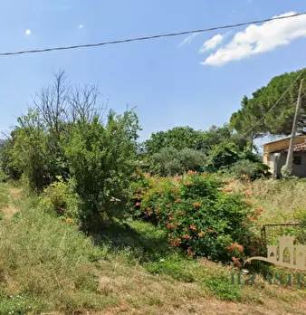 Foto annuncio 12