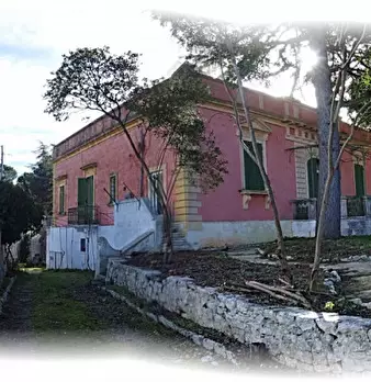 Foto annuncio 4