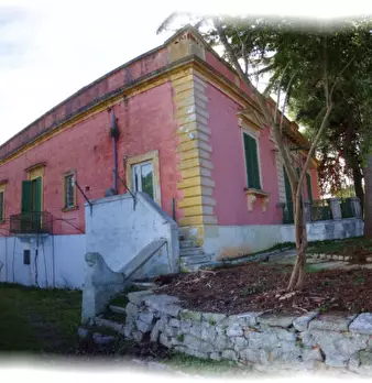 Foto annuncio 5