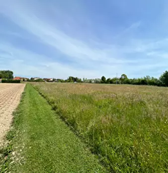 Foto annuncio 12