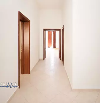 Foto annuncio 15