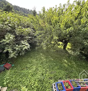 Foto annuncio 25