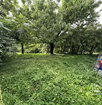 Foto annuncio 28