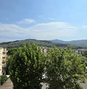 Foto annuncio 14
