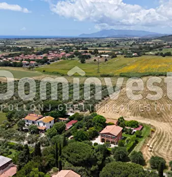 Foto annuncio 5