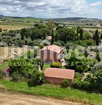 Foto annuncio 9