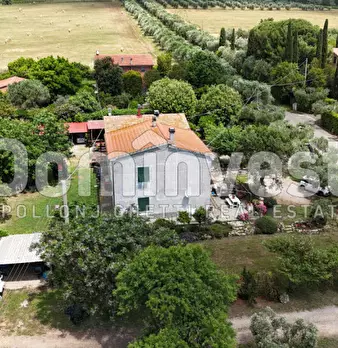 Foto annuncio 11
