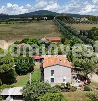 Foto annuncio 14