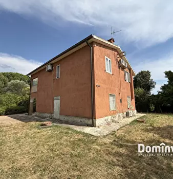 Foto annuncio 18