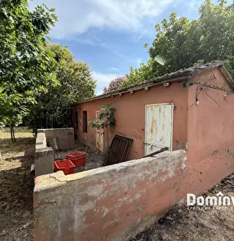 Foto annuncio 19
