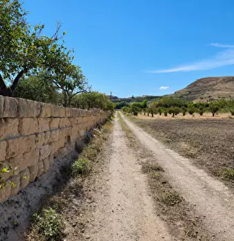 Foto annuncio 5