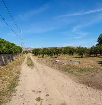 Foto annuncio 6