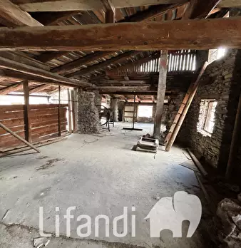 Foto annuncio 11