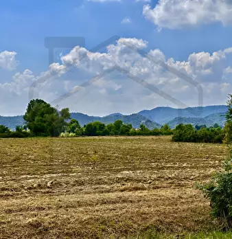 Foto annuncio 22